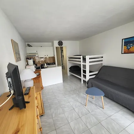 Jolie Avec Piscine Prive 阿格德